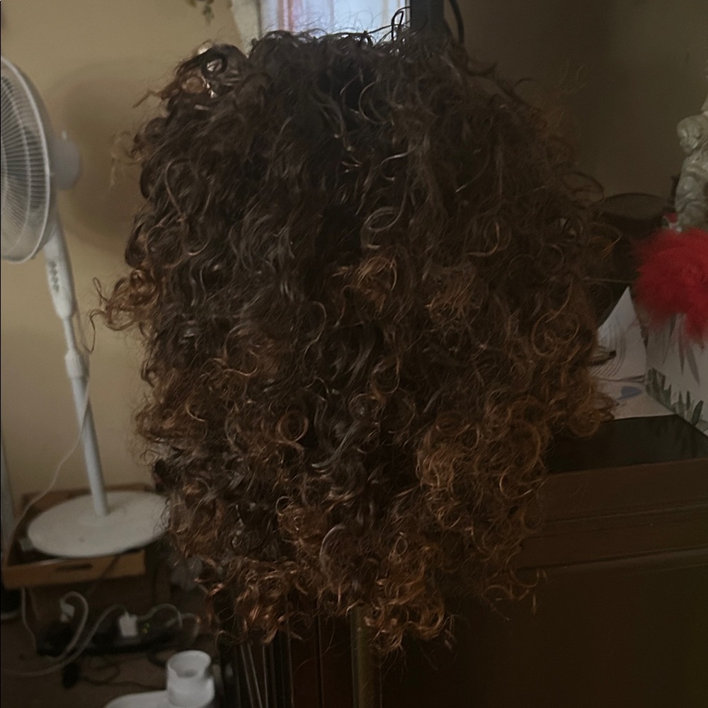 Curly Brown Hair Wig - Picture 2 of 3